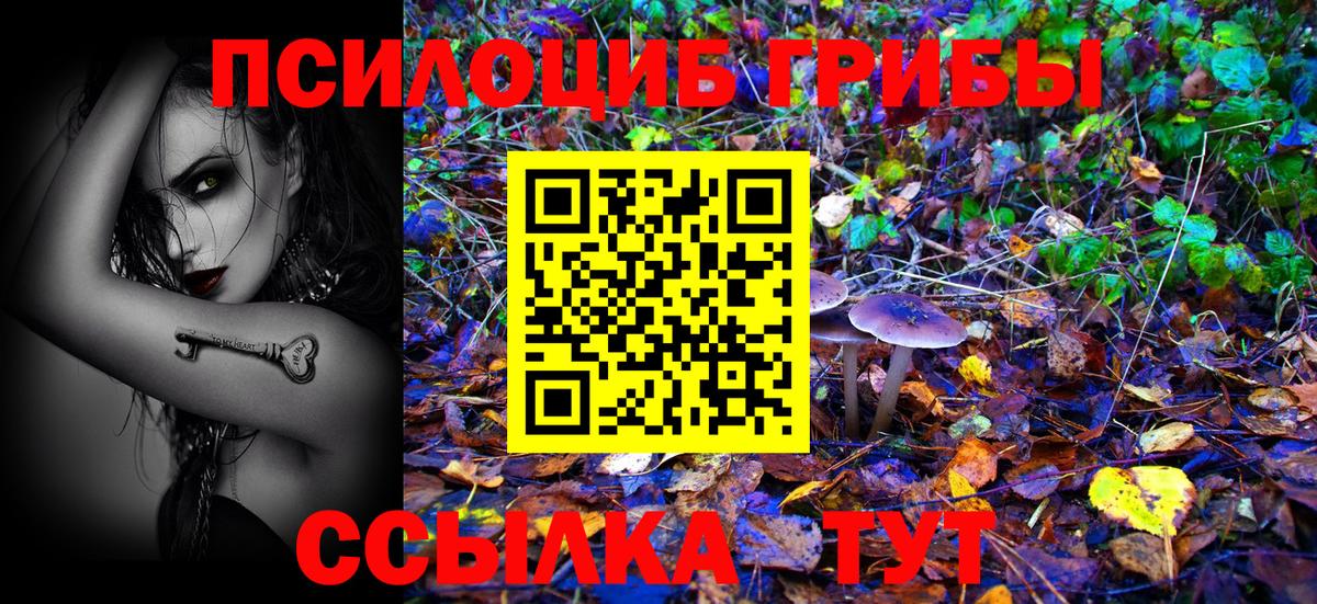Галлюциногенные грибы прущие грибы  где продают наркотики  Пятигорск 